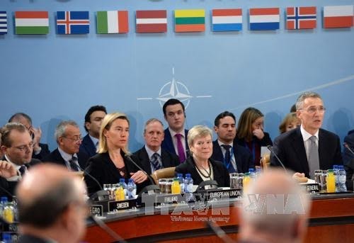 Défense: l'Otan et l'UE partenaires, pas rivales, réaffirment leurs dirigeants - ảnh 1